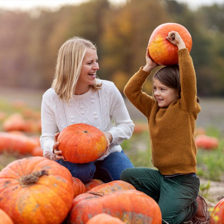 10 Ideas for Your Fall Bucket List