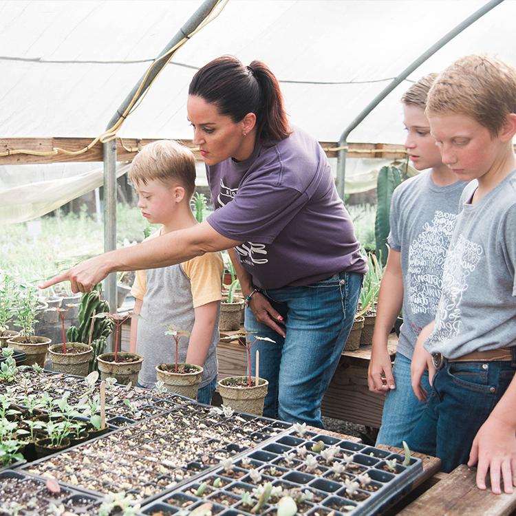 Teaching about agriculture is as easy as A B C